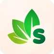 Icon of program: SEMENA.RU