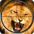 Lion Hunting Sniper Shooting