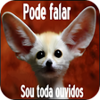 プログラムのアイコン：Piadas com Imagens