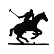程序图标：Polo X - Apparels  Access…
