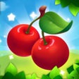 Fruit Fun Fest icon