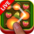 程序图标：Swiped Fruits Live