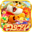 プログラムのアイコン: Gravity Square Tiger