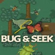 Programikonen: Bug  Seek