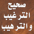 程序图标：صحيح الترغيب والترهيب