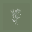 Icon of program: Sage Green Aesthetic Wall…