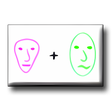 Symbol des Programms: Sqirlz Morph