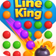 程序图标：Puzzle Line King