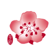 程序图标：China Airlines App