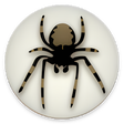 程序图标：Araneae