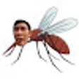 Icoon van programma: chien-wen-mosquito