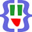 Icon of program: JSON Lite