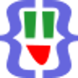 Icon of program: JSON Lite