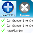 程序图标：SoundTaxi Pro+Video Rip