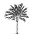 프로그램 아이콘: Miami Beach Golf Course