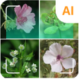 أيقونة البرنامج: Plant identifier