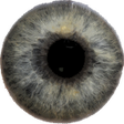 プログラムのアイコン：Eye Diagnosis