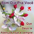 Ikon program: Bom dia Boa tarde Boa Noi…