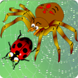 Programın simgesi: Home of Angry Spider