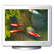 Programın simgesi: Koi Fish 3D Screensaver