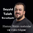 Ikon program: seyyid taleh mahnılarıvid…
