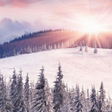 Icon of program: Winter Wallpaper