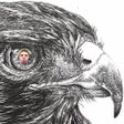 程序图标：HawkSounds