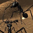 프로그램 아이콘: Ant Simulator 3D