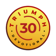 プログラムのアイコン：Triumph30