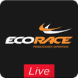 プログラムのアイコン：Ecorace