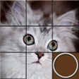 أيقونة البرنامج: Sliding Puzzles