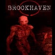 프로그램 아이콘: The Brookhaven Experiment