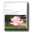 Symbol des Programms: Mass Image Compressor 