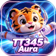 Иконка программы: TT345Aura