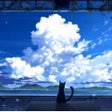 Black Cat Watching Sky live wallpaper icon