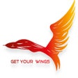 Ikon program: Pilot Aptitude Training
