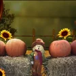 プログラムのアイコン：Autumn Autkins Live Wallp…