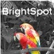 プログラムのアイコン：ImageElements BrightSpot