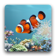 프로그램 아이콘: aniPet Aquarium LiveWallp…