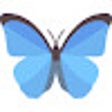 Иконка программы: Daily Butterflies New Tab