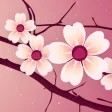 サクラライブ壁紙 Sakura