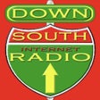 程序图标：DownSouthRadio