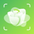 Icon of program: Plant Identification - PlantAD