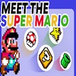 プログラムのアイコン：Super Mario Bros Official