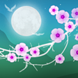 プログラムのアイコン：花の夜ライブ壁紙 Blooming Night