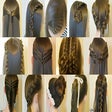 Icon of program: Hair Styles 2020  Hair St…