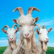 Icon of program: Goat Simulator 3