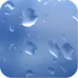 窓上の雨（無料）