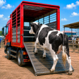 프로그램 아이콘: US Animal Truck  Farming …