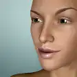 Face Model - 3D Head pose tool